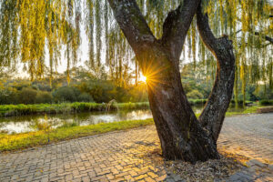 Retirement Village East Rand